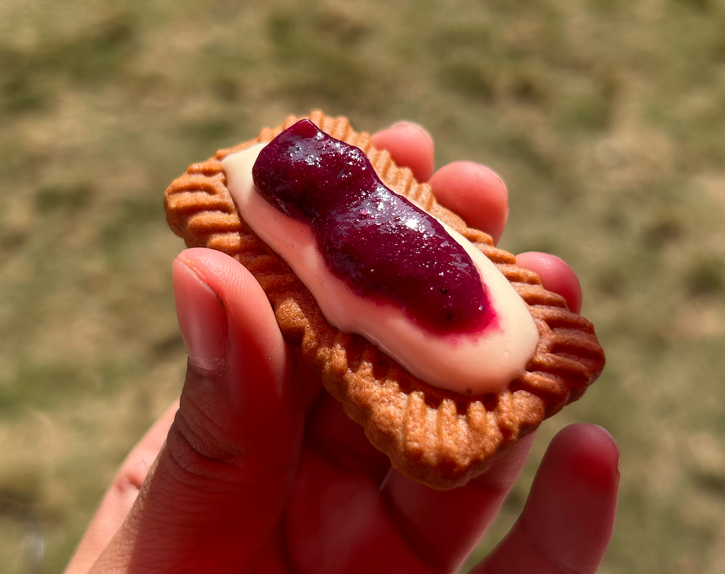 Beku Jamun Jam | 220 grams | 100% Natural | Sweetened with Khandsari